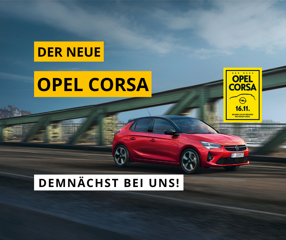 der_neue_5_.png